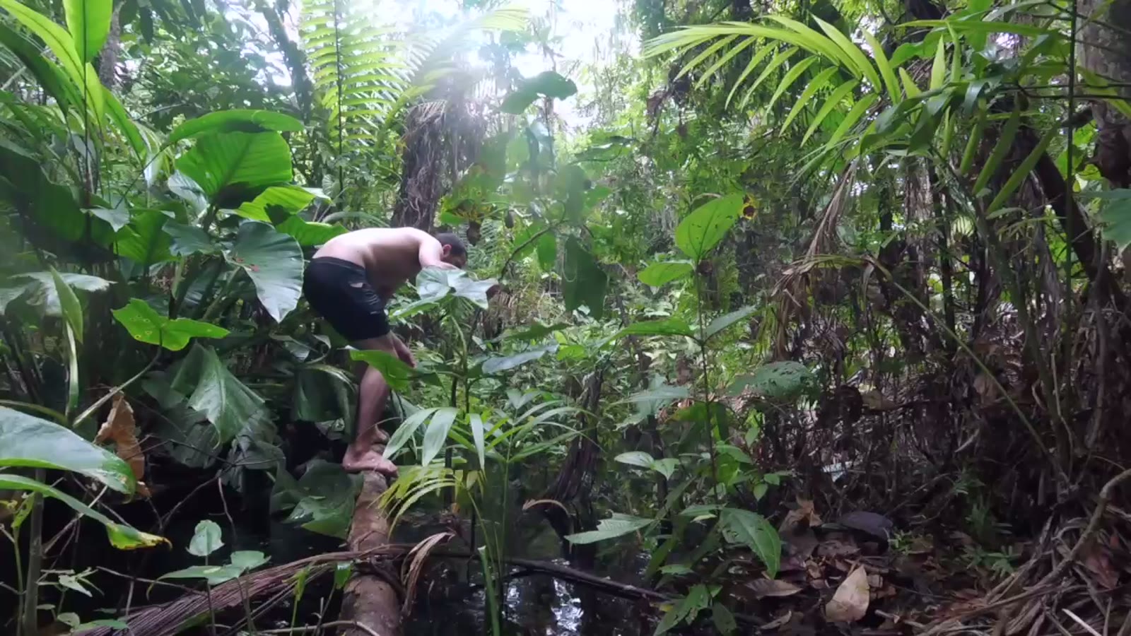 Essequibo